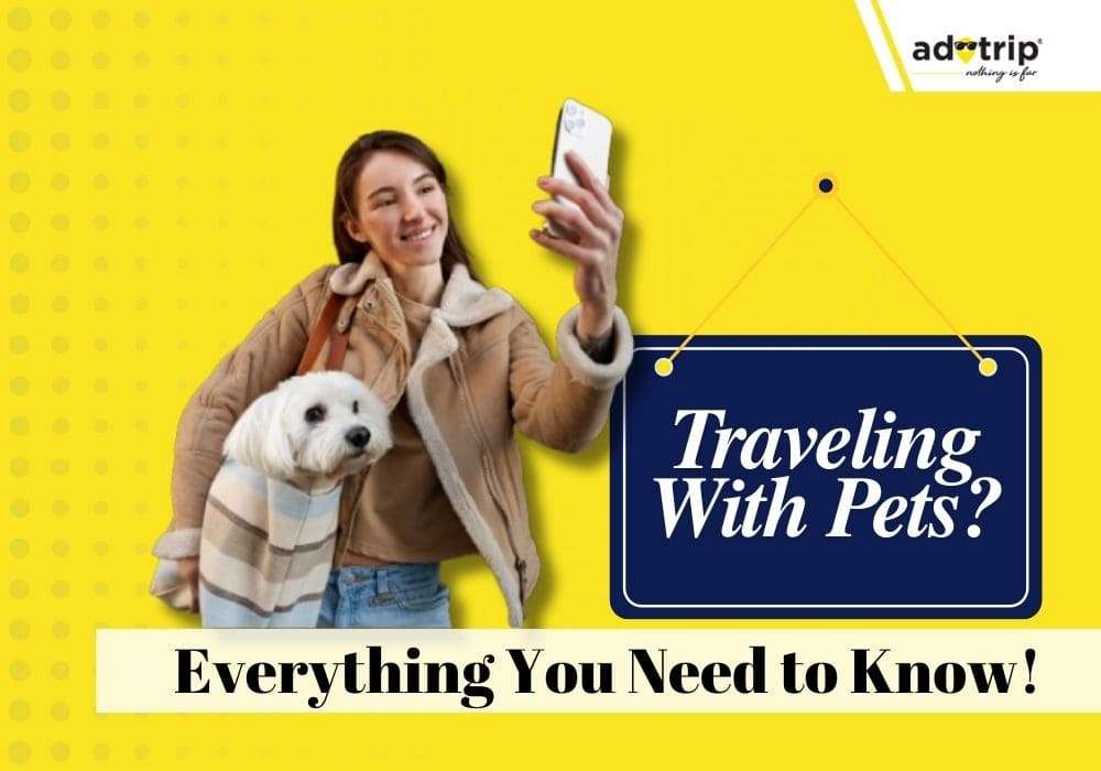 Travel With Pets (1)